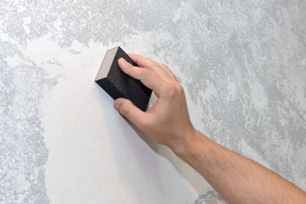 Best Basement Mold Removal  in Aberdeen, WA