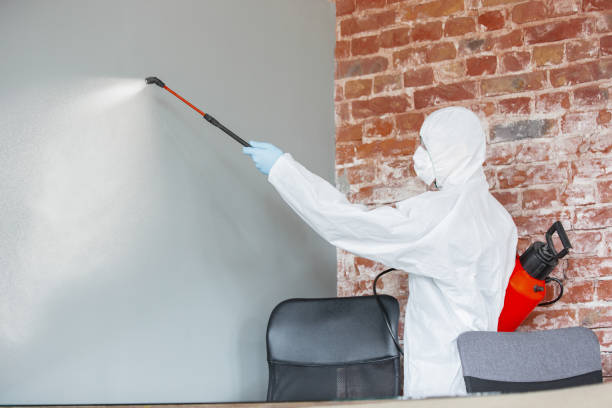 Reliable Aberdeen, WA Mold Removal Solutions