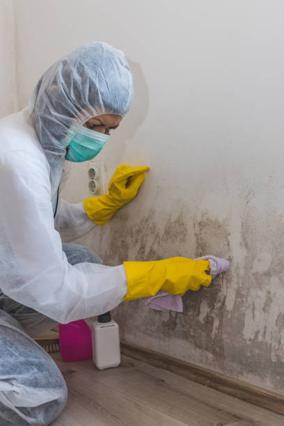 Best Real Estate Mold Inspection  in Aberdeen, WA