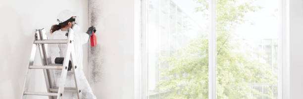 Best Mold-Related Health Consultation  in Aberdeen, WA