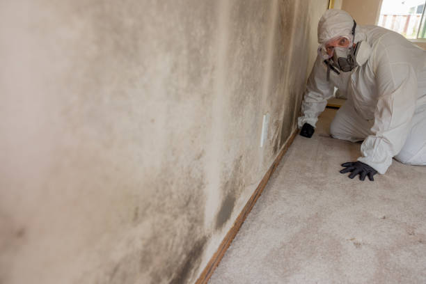 Best Commercial Mold Inspection  in Aberdeen, WA